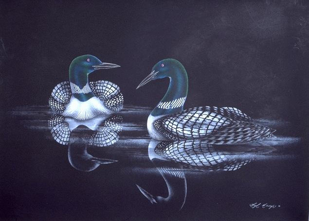 Blue Loons